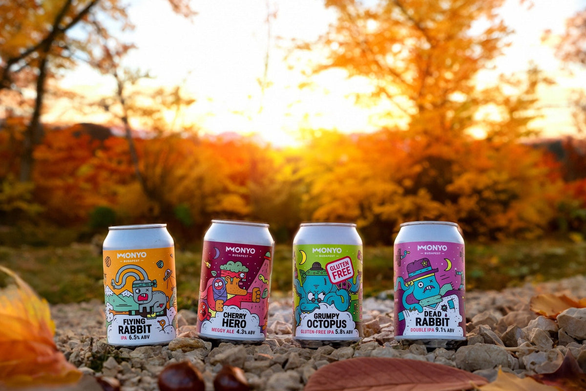 MONYO Exclusief Bierpakket - 17 Bieren + 2 Soda’s - speciaalbier pakket cadeau geven (afbeelding 12)