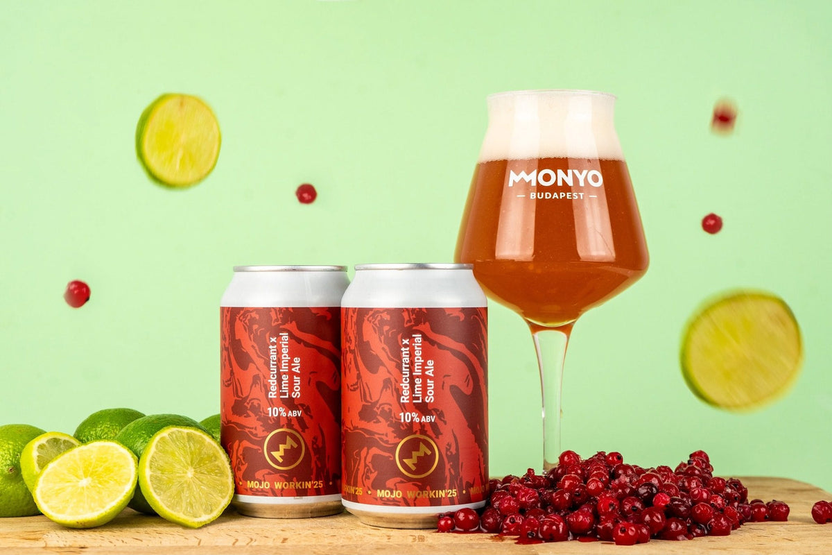MONYO Exclusief Bierpakket - 17 Bieren + 2 Soda’s - speciaalbier pakket cadeau geven