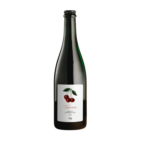 Terroir Schaarbeekse kriek 2025 (Lambic / Kriek) - Boerenerf - 75CL van brouwerij Boerenerf - Lambiek van 6,4% in fles van
