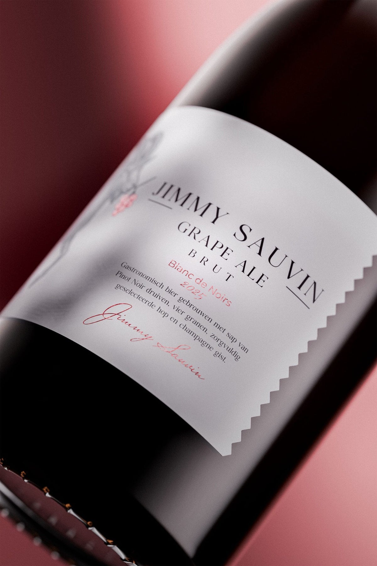 Jimmy Sauvin Grape Ale Pakket (75CL) – Delen & genieten aan tafel bierpakket kopen bij My Dear Beer